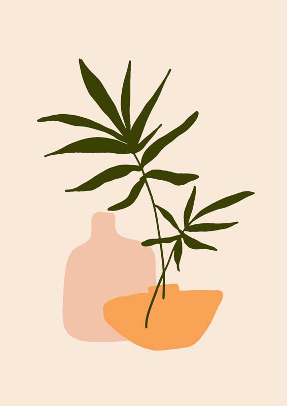 水果派中文解说在线观看视频免费观看